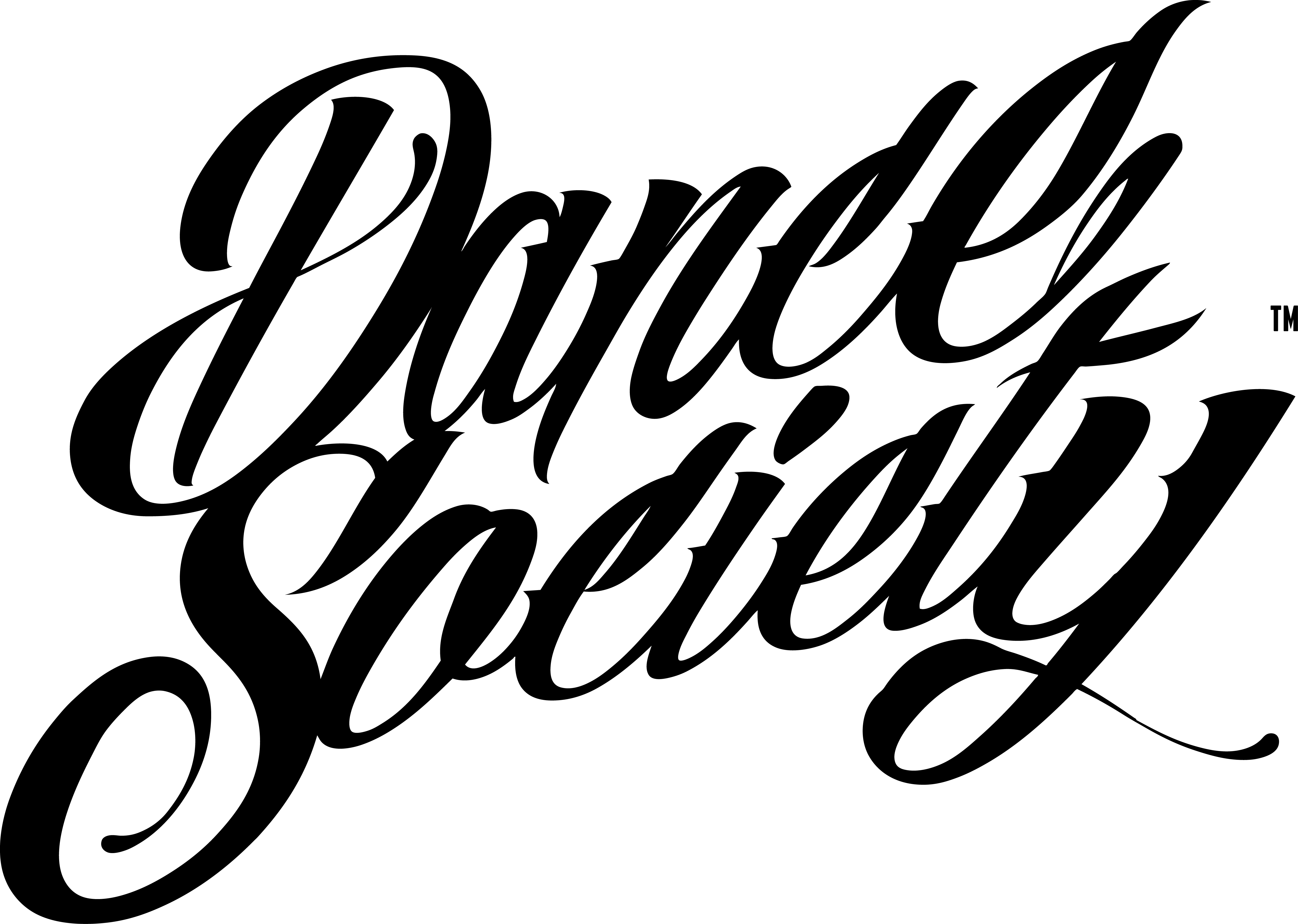 DS Logo